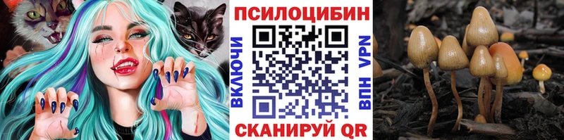Галлюциногенные грибы MAGIC MUSHROOMS  Киренск 