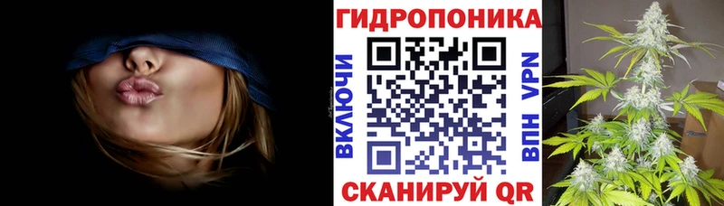 Шишки марихуана план  Киренск 